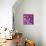 Revolver Pinks-Abstract Graffiti-Mounted Giclee Print displayed on a wall