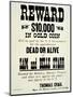 Reward Poster For Belle Starr, c.1882-null-Mounted Giclee Print
