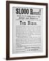 Reward Poster for Tom Nixon Issued by the Pinkerton National Detective Agency, 1877-American School-Framed Giclee Print