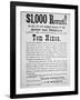 Reward Poster for Tom Nixon Issued by the Pinkerton National Detective Agency, 1877-American School-Framed Giclee Print