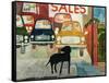 Rex at the Used Car Lot; SALES-Brenda Brin Booker-Framed Stretched Canvas