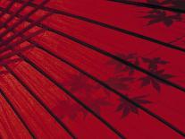 Japanese Red Umbrella, Japan-Rex Butcher-Photographic Print