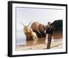 Rex Harrison - Doctor Dolittle-null-Framed Photo