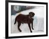 Rex in the Morning at the Used Car Lot-Brenda Brin Booker-Framed Premium Giclee Print