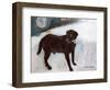 Rex in the Morning at the Used Car Lot-Brenda Brin Booker-Framed Giclee Print