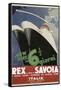 Rex Savoia-null-Framed Stretched Canvas