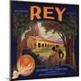 Rey Brand - San Fernando, California - Citrus Crate Label-Lantern Press-Mounted Art Print