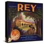 Rey Brand - San Fernando, California - Citrus Crate Label-Lantern Press-Stretched Canvas