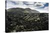 Reykjanes Peninsula, Iceland, Polar Regions-Michael-Stretched Canvas