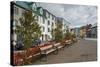 Reykjavik, Iceland, Polar Regions-Michael Snell-Stretched Canvas