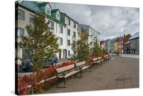 Reykjavik, Iceland, Polar Regions-Michael Snell-Stretched Canvas