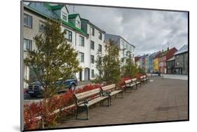 Reykjavik, Iceland, Polar Regions-Michael Snell-Mounted Photographic Print