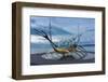 Reykjavik, Sculpture, Viking Ship-Catharina Lux-Framed Photographic Print