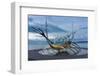 Reykjavik, Sculpture, Viking Ship-Catharina Lux-Framed Photographic Print