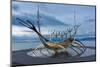 Reykjavik, Sculpture, Viking Ship-Catharina Lux-Mounted Photographic Print