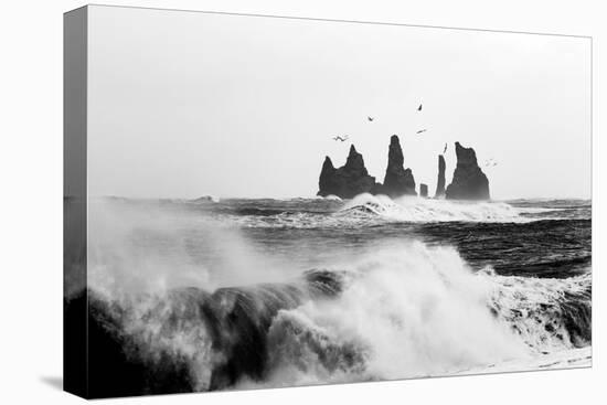 Reynisdrangar Birds-Philippe Sainte-Laudy-Stretched Canvas