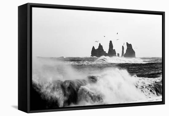 Reynisdrangar Birds-Philippe Sainte-Laudy-Framed Stretched Canvas