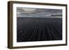 Reynisfjara, Vik, Iceland, Polar Regions-Bill Ward-Framed Photographic Print