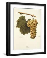 Reze Grape-A. Kreyder-Framed Giclee Print