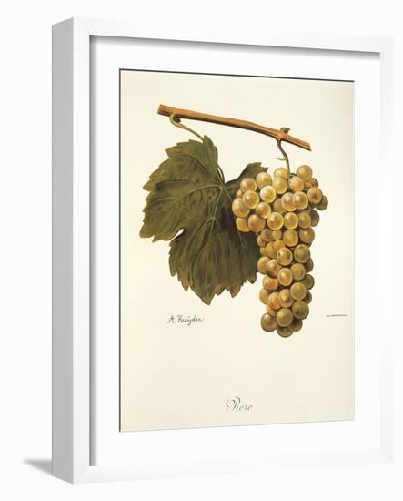 Reze Grape-A. Kreyder-Framed Giclee Print