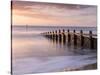 RF - Groyne/sea defense at Dawlish Warren at dawn, South Devon, UK-Ross Hoddinott-Stretched Canvas