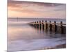 RF - Groyne/sea defense at Dawlish Warren at dawn, South Devon, UK-Ross Hoddinott-Mounted Photographic Print