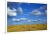 RF - Straw stubble and bales after harvest, Northrepps Village, Norfolk, England, UK, August-Ernie Janes-Framed Photographic Print