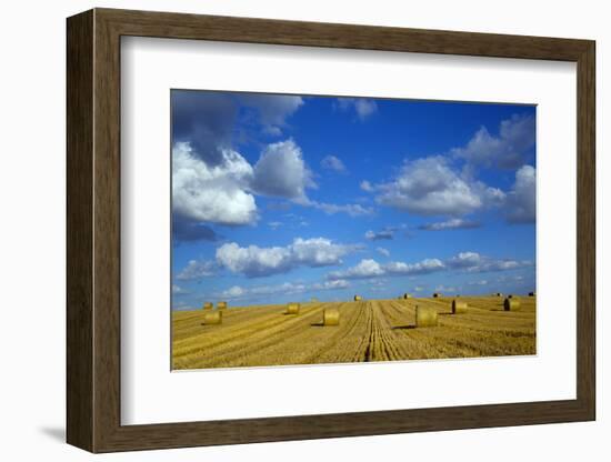 RF - Straw stubble and bales after harvest, Northrepps Village, Norfolk, England, UK, August-Ernie Janes-Framed Photographic Print