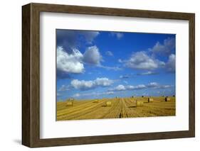 RF - Straw stubble and bales after harvest, Northrepps Village, Norfolk, England, UK, August-Ernie Janes-Framed Photographic Print