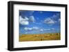 RF - Straw stubble and bales after harvest, Northrepps Village, Norfolk, England, UK, August-Ernie Janes-Framed Photographic Print