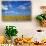 RF - Straw stubble and bales after harvest, Northrepps Village, Norfolk, England, UK, August-Ernie Janes-Stretched Canvas displayed on a wall