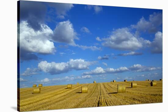 RF - Straw stubble and bales after harvest, Northrepps Village, Norfolk, England, UK, August-Ernie Janes-Stretched Canvas