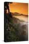 RF- Sunrise and mist over lowland dipterocarp rainforest. Danum valley, Sabah, Borneo, Malaysia-Nick Garbutt-Stretched Canvas