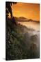 RF- Sunrise and mist over lowland dipterocarp rainforest. Danum valley, Sabah, Borneo, Malaysia-Nick Garbutt-Stretched Canvas