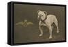 Rfc WW1 Bulldog Postcard-null-Framed Stretched Canvas