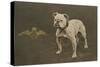 Rfc WW1 Bulldog Postcard-null-Stretched Canvas