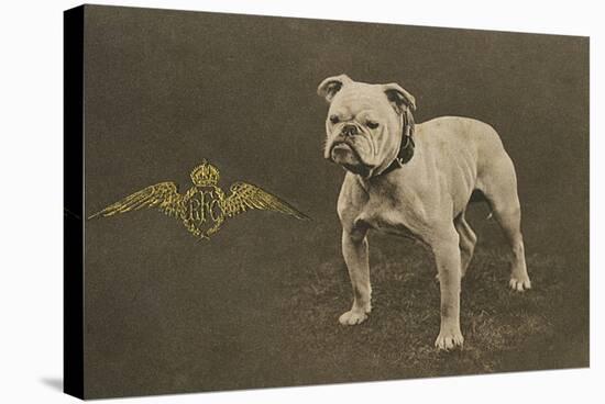 Rfc WW1 Bulldog Postcard-null-Stretched Canvas