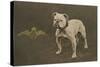 Rfc WW1 Bulldog Postcard-null-Stretched Canvas