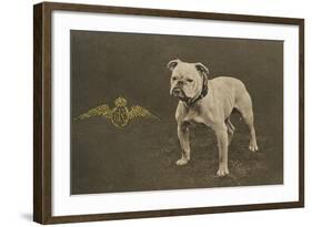 Rfc WW1 Bulldog Postcard-null-Framed Photographic Print