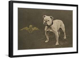 Rfc WW1 Bulldog Postcard-null-Framed Photographic Print