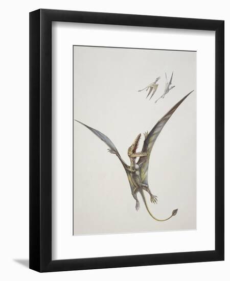 Rhamphorhynchoid, Jurassic Period-null-Framed Premium Giclee Print