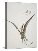 Rhamphorhynchoid, Jurassic Period-null-Stretched Canvas