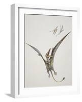 Rhamphorhynchoid, Jurassic Period-null-Framed Giclee Print
