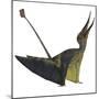 Rhamphorhynchus Pterosaur-Stocktrek Images-Mounted Art Print