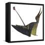 Rhamphorhynchus Pterosaur-Stocktrek Images-Framed Stretched Canvas