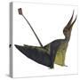 Rhamphorhynchus Pterosaur-Stocktrek Images-Stretched Canvas