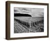 Rheinlandschaften 5, 2015-Jaschi Klein-Framed Photographic Print