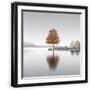Black Frame