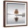 Brown Frame