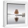 White Frame